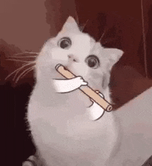 GIF - 1 Mio