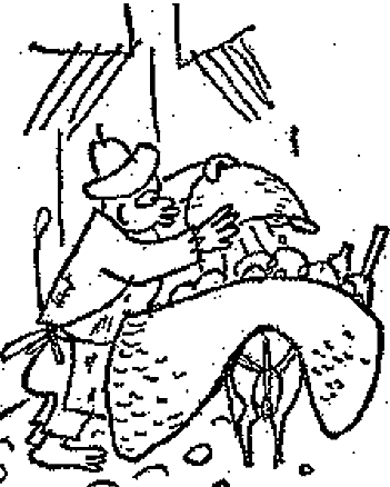 PNG - 43.3 kio
