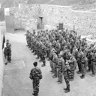 harkis 1959