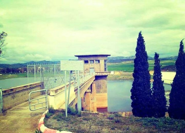 10402881_1441864846068098_3159748792008674544_n